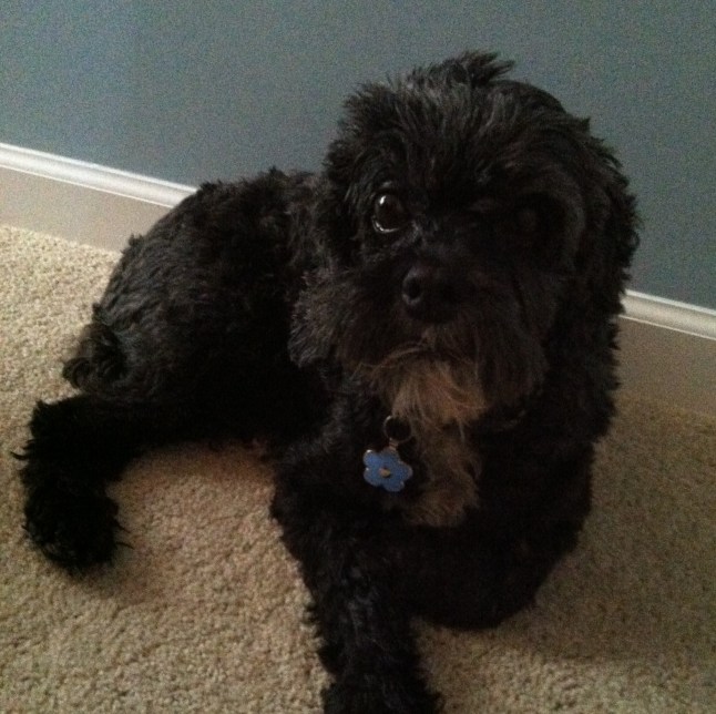 B 13th bday week on karen's visit (2)