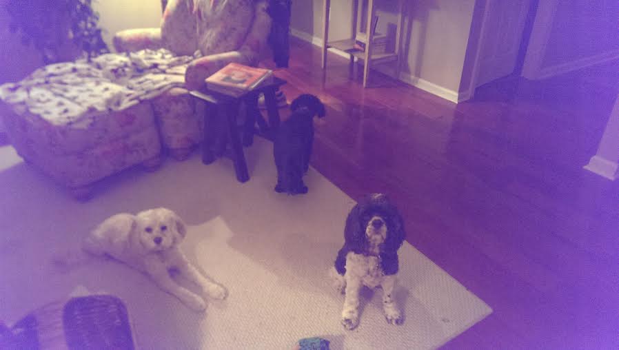 smile for the camera